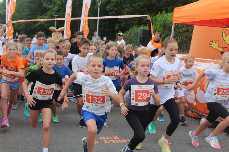 Family Run Ergebnisse